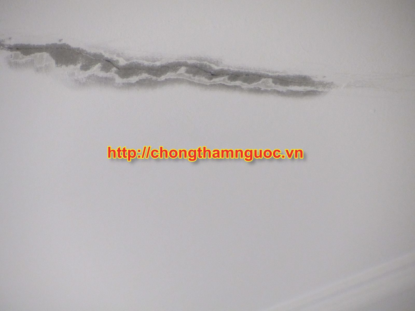 Vị trí nứt trần nhà